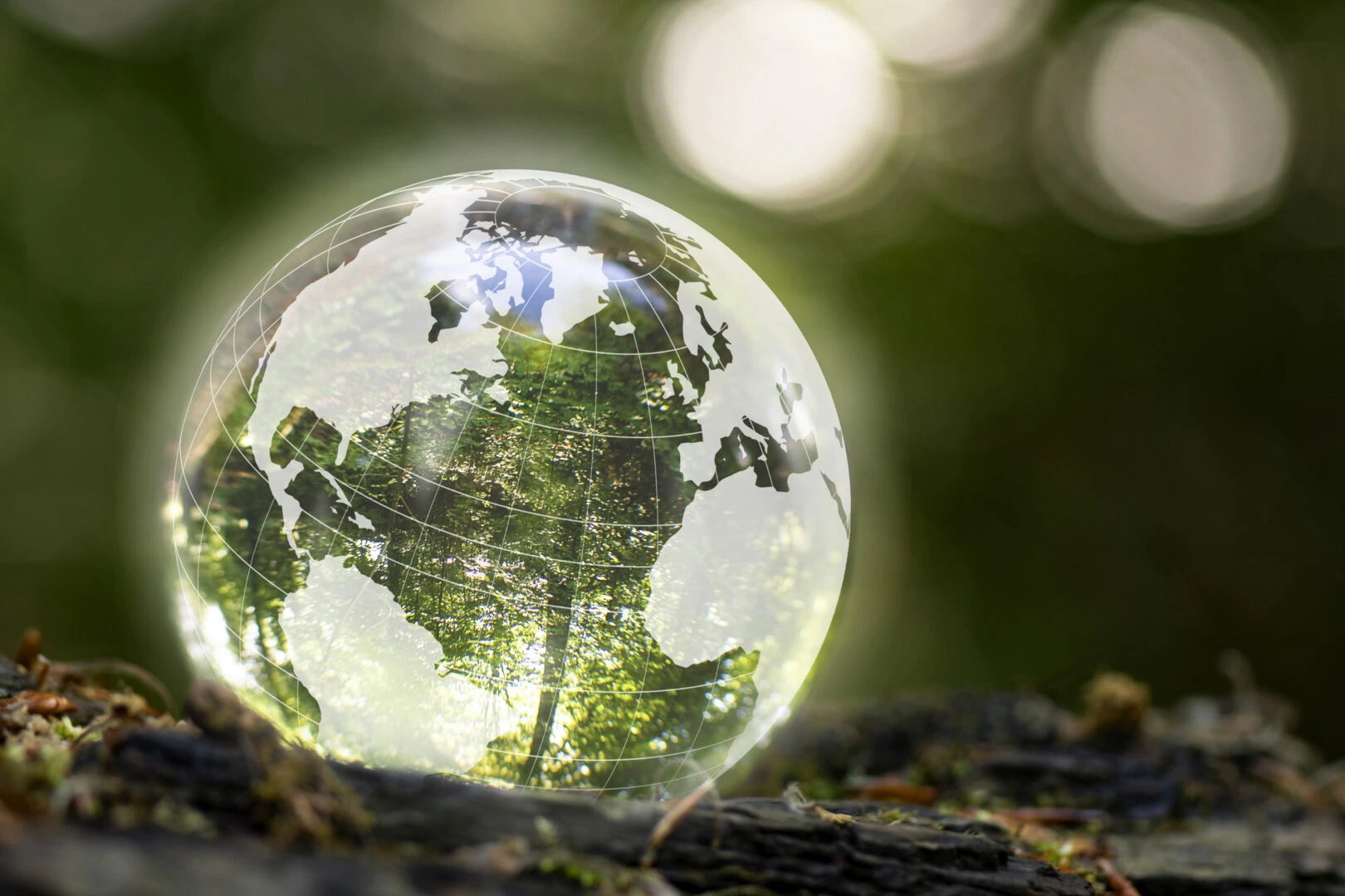 Globe In Nature With Nature Inside. An Illustration That Shows How We Should Take Care Of Nature