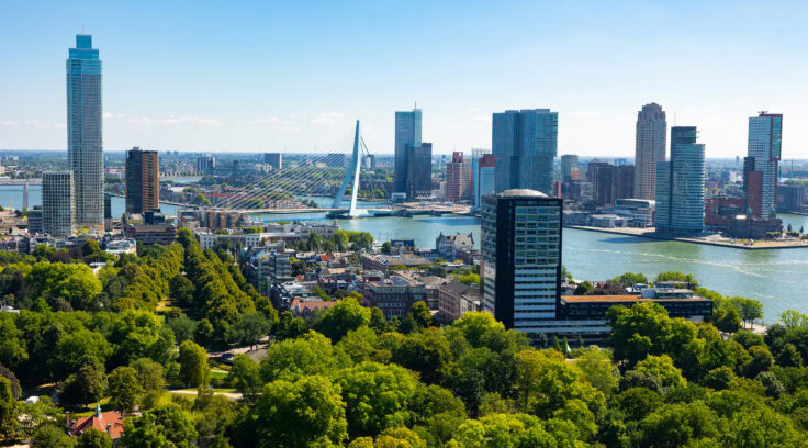 View From Drone Of Rotterdam City With Modern Districts And Erasmus Cable Stayed Bridge