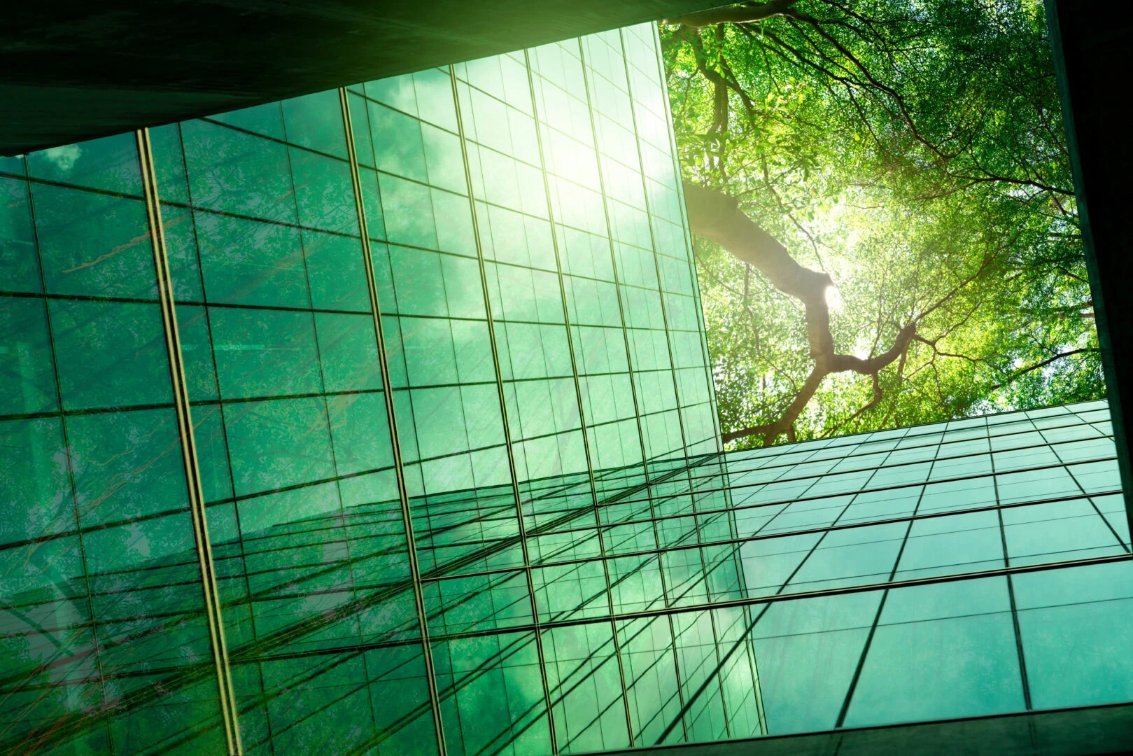 Sustainble Green Building. Eco Friendly Building In Modern City. Esg. Sustainable Glass Office Building With Green Tree. Office With Green Environment. Corporate Sustainability. Net Zero Emission.