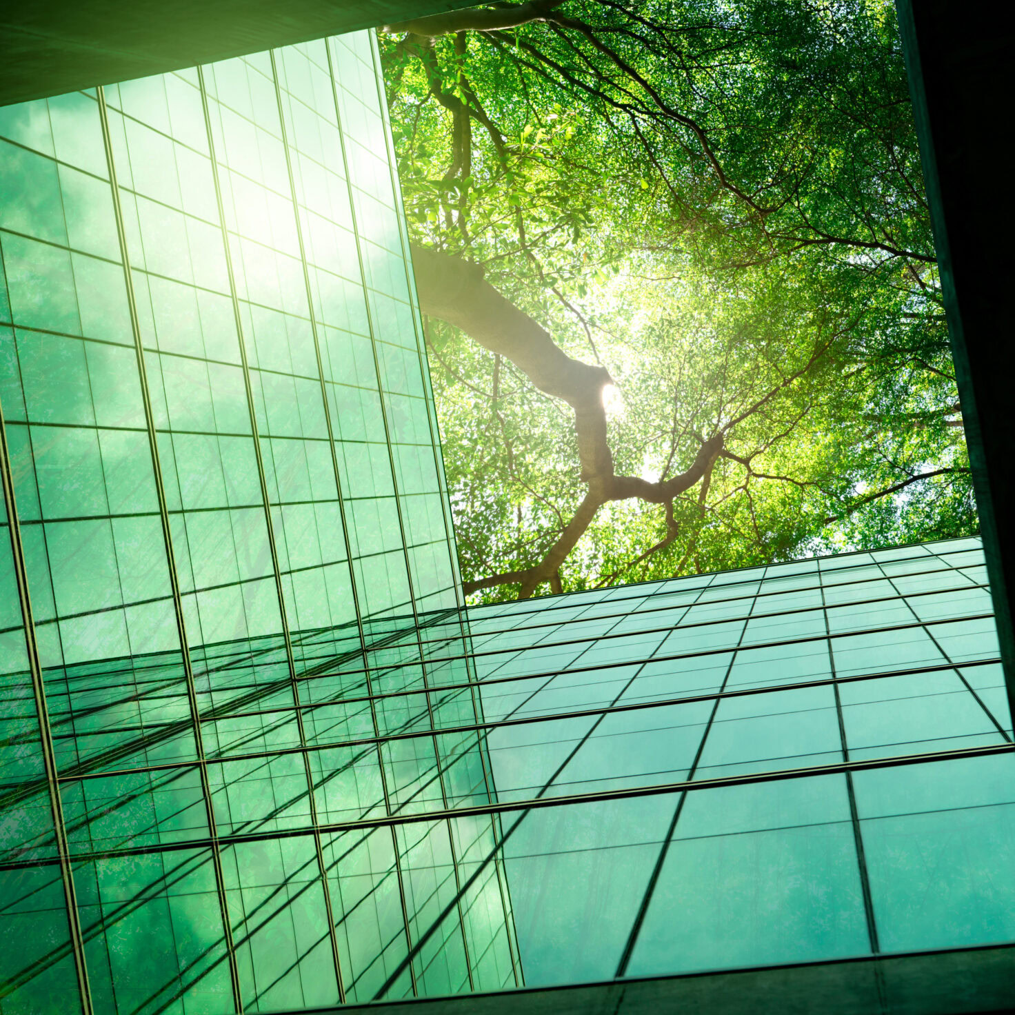 Istock 1493187091 Scaled Aspect Ratio 1 1