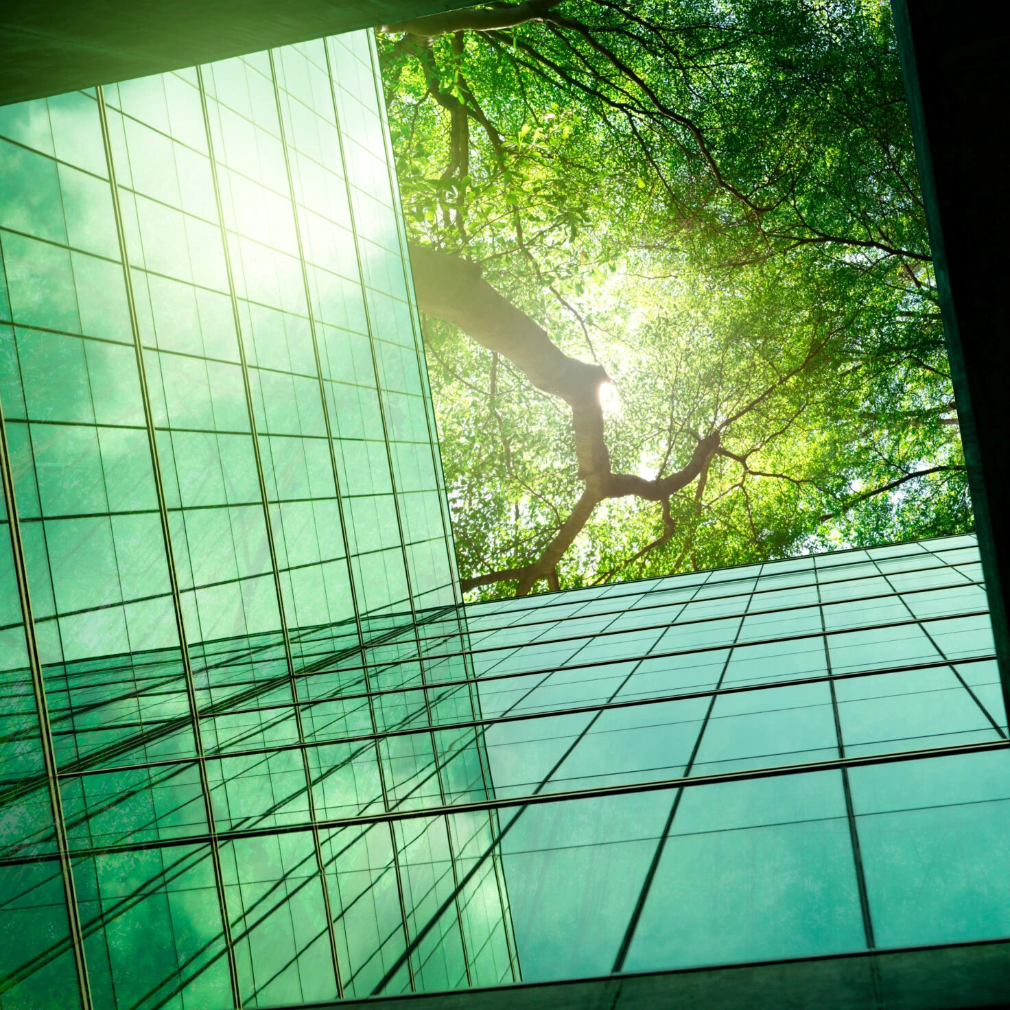 Istock 1493187091 Scaled Aspect Ratio 1 1
