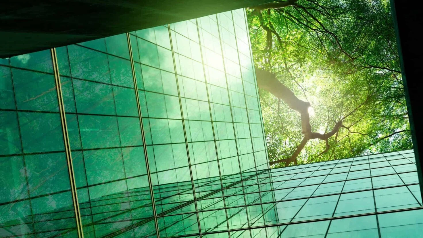 Istock 1493187091 Scaled Aspect Ratio 16 9