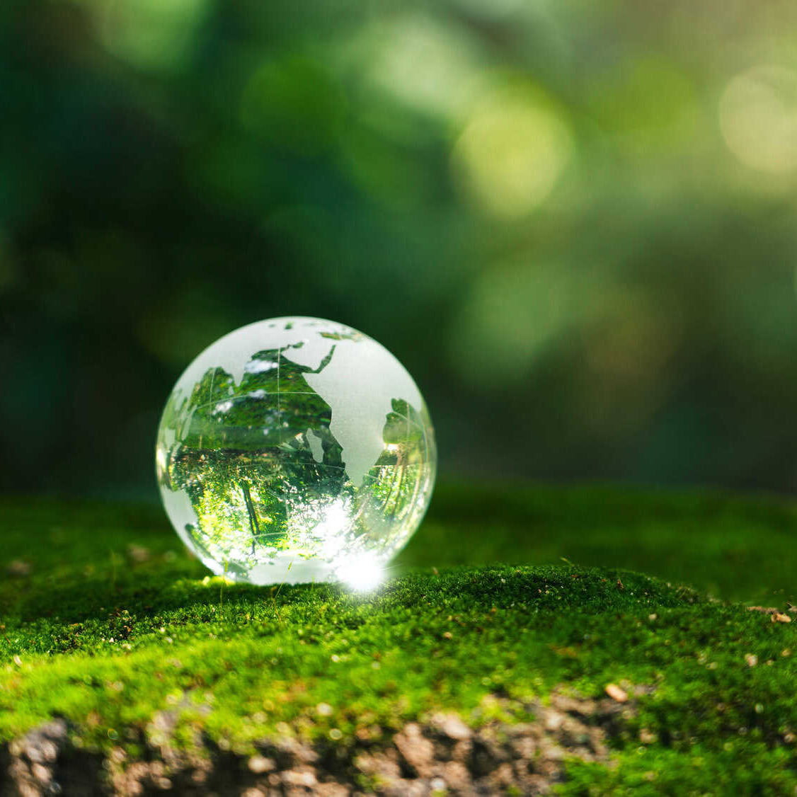 Istock 2167338335 Scaled Aspect Ratio 1 1