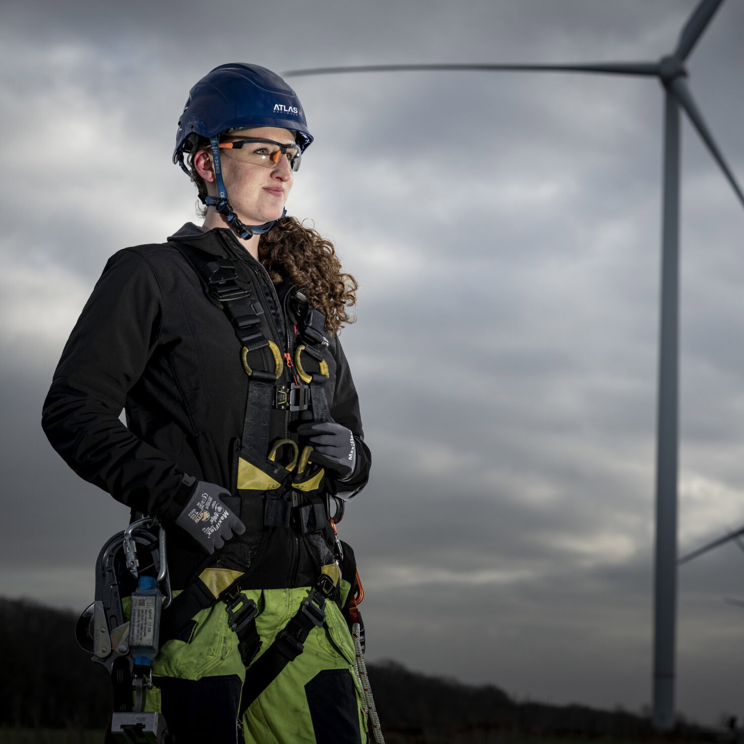 Dsc 3437 Scaled Aspect Ratio 1 1